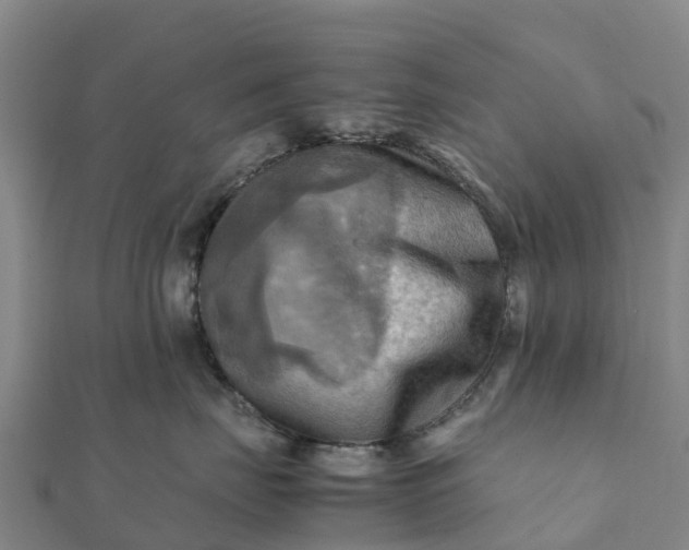 X0000112090671200908181305