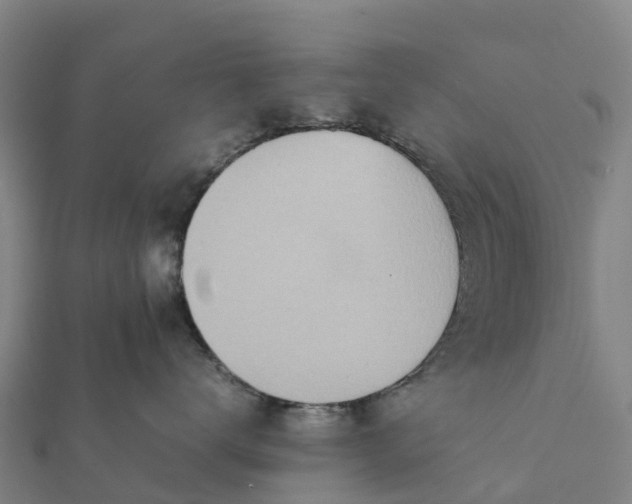 X0000112090672200908181305