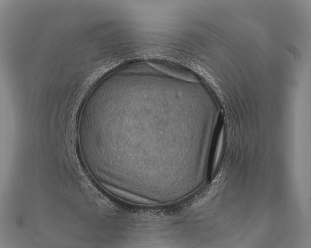 X0000112090673200908181304