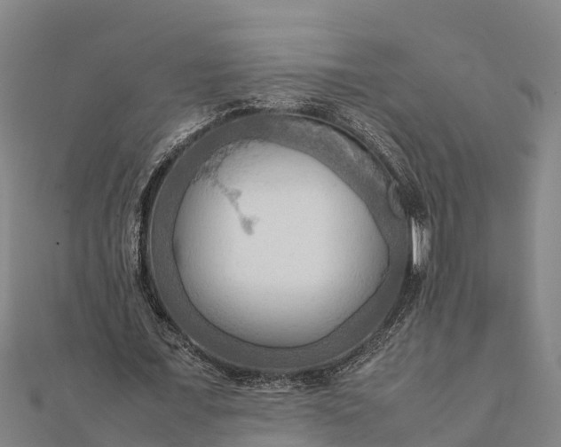 X0000112090675200908181304