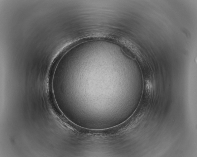 X0000112090676200908181304