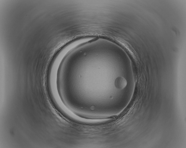 X0000112090677200908181304