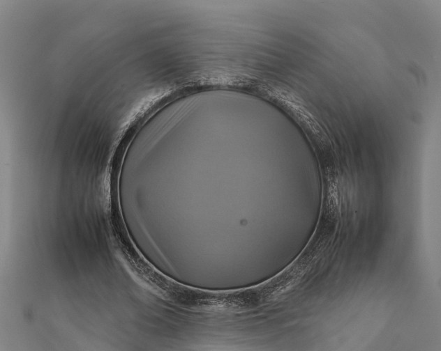 X0000112090678200908181304