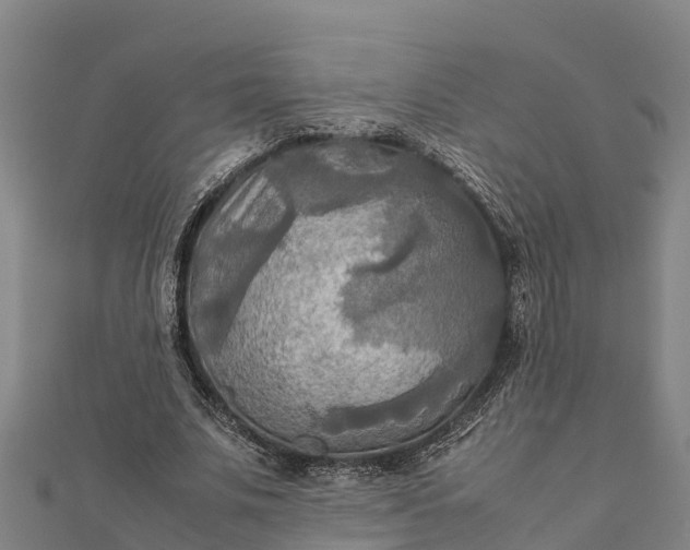 X0000112090679200908181304