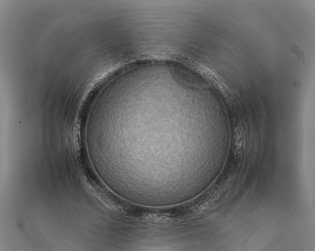 X0000112090680200908181304