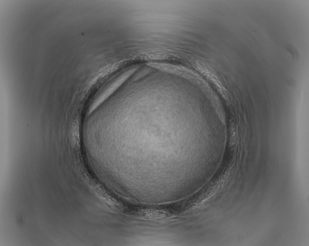 X0000112090681200908181304