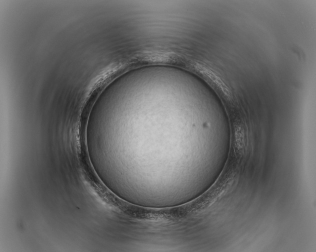 X0000112090682200908181304