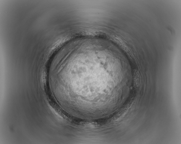 X0000112090683200908181304