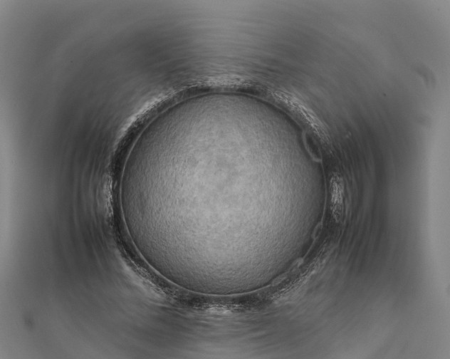 X0000112090684200908181304