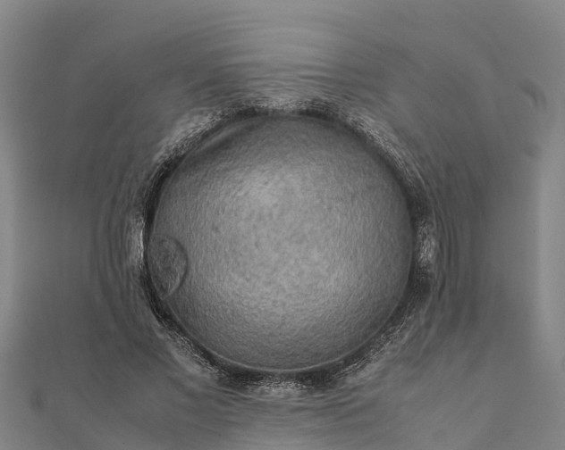 X0000112090685200908181304