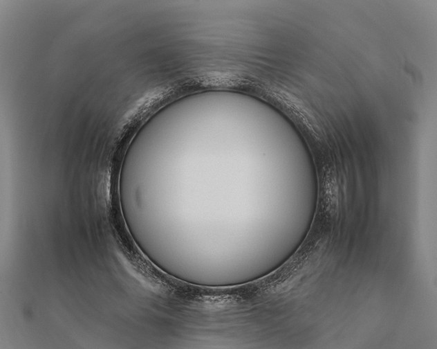 X0000112090686200908181304