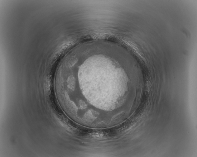 X0000112090687200908181304