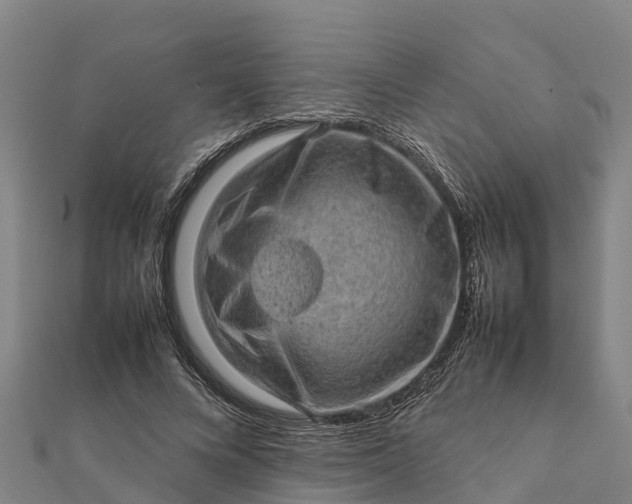 X0000112090688200908181304