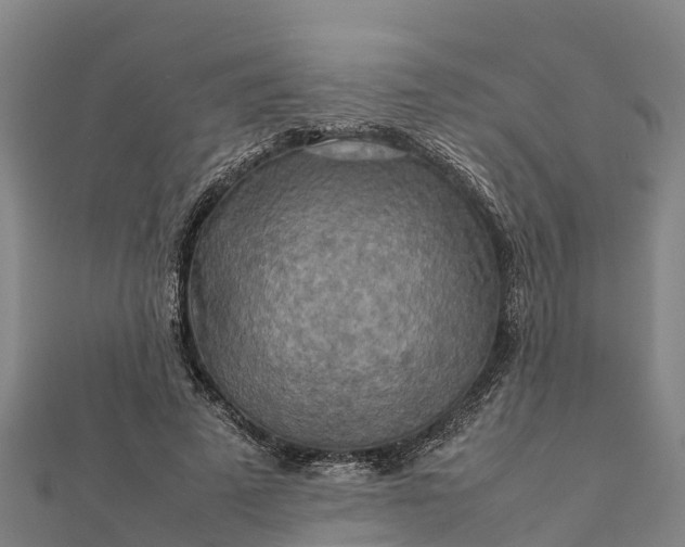 X0000112090689200908181304