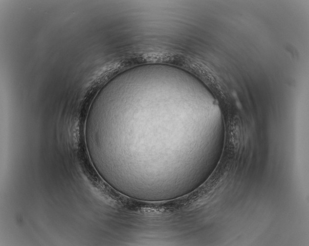 X0000112090690200908181304