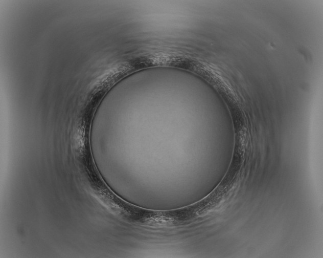 X0000112090691200908181304