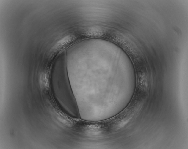 X0000112090692200908181304