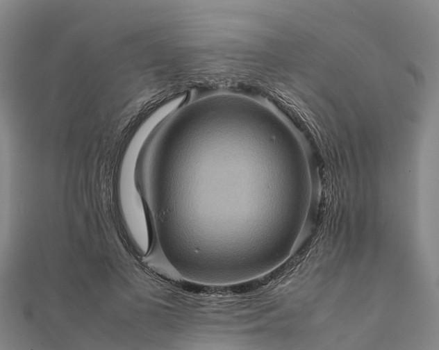 X0000112090693200908181304