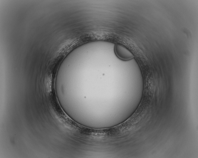 X0000112090694200908181304