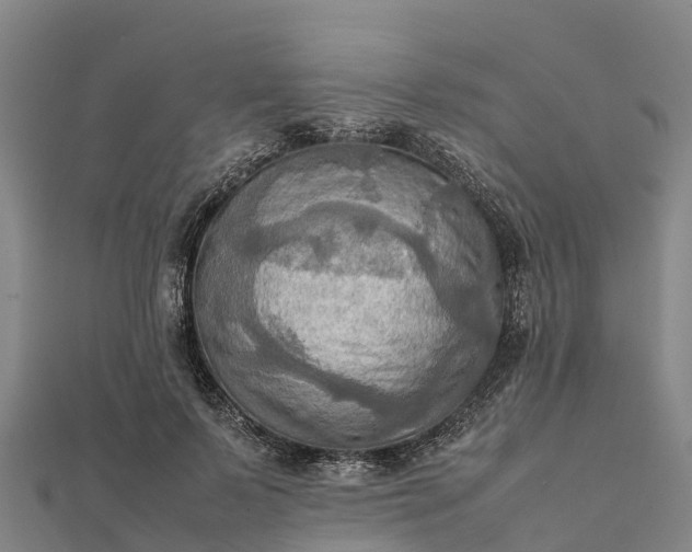 X0000112090695200908181304