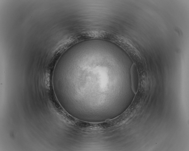 X0000112090696200908181304