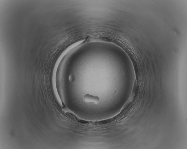 X0000112090697200908181304