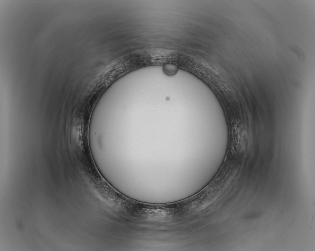 X0000112090698200908181304