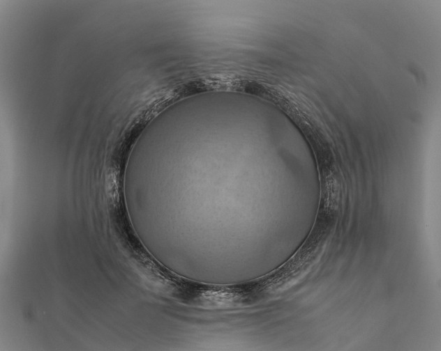 X0000112090699200908181304