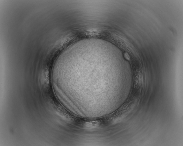 X0000112090700200908181304