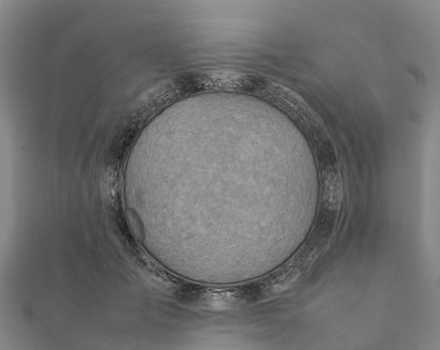 X0000112090701200908181304