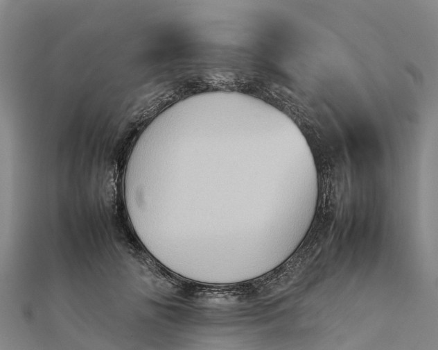 X0000112090702200908181304