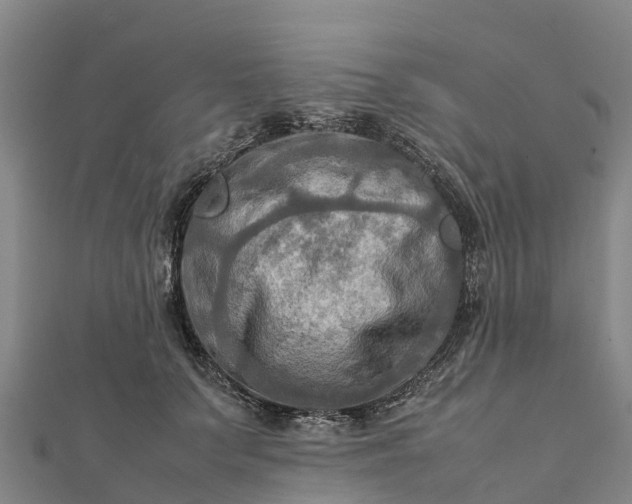 X0000112090703200908181304