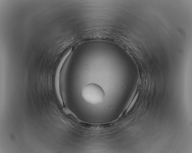 X0000112090704200908181304