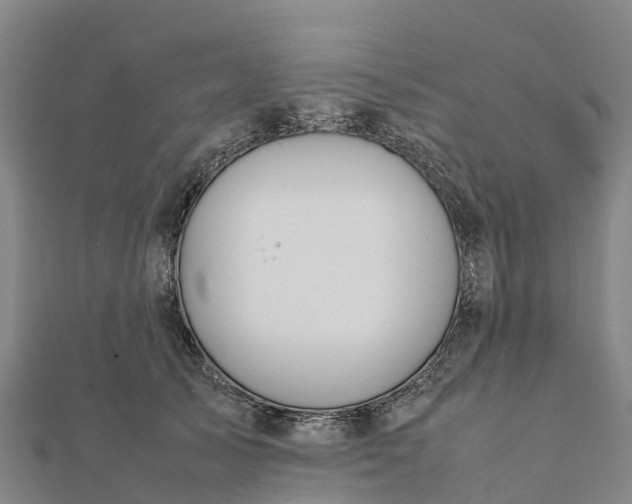 X0000112090705200908181304