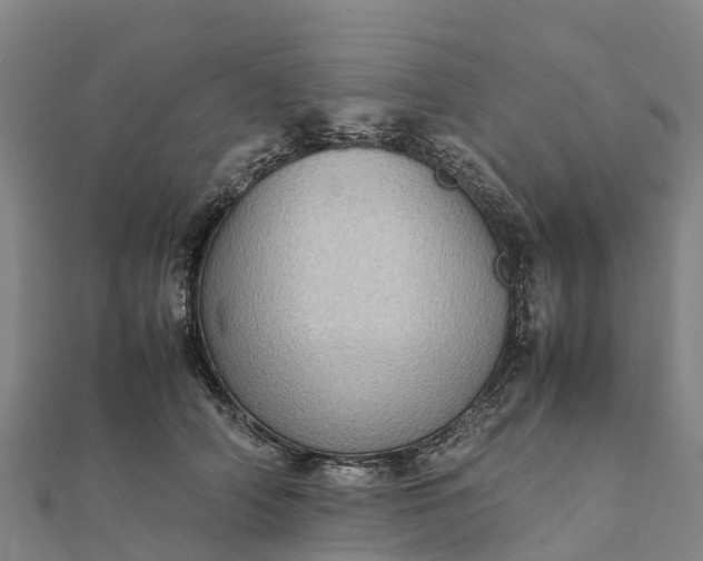 X0000112090706200908181304