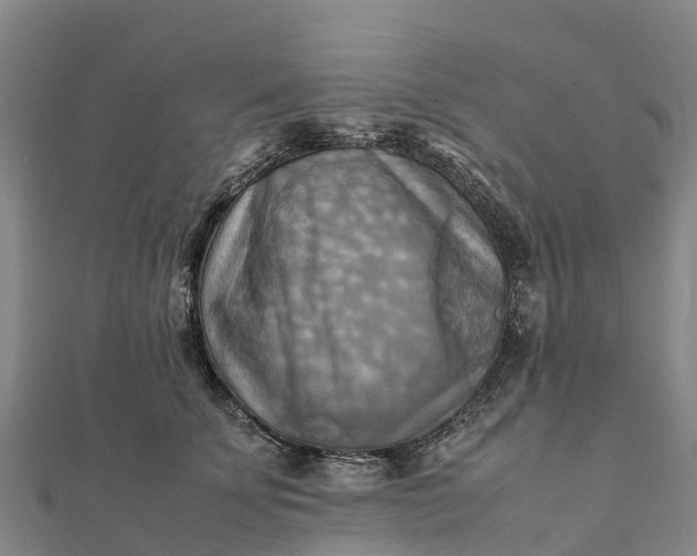 X0000112090707200908181304