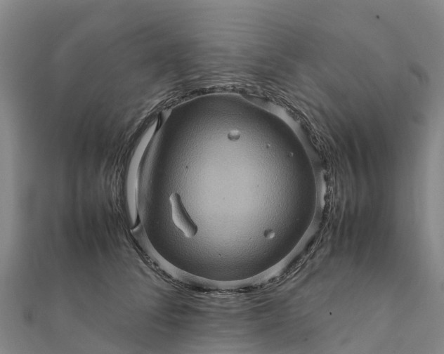 X0000112090708200908181304