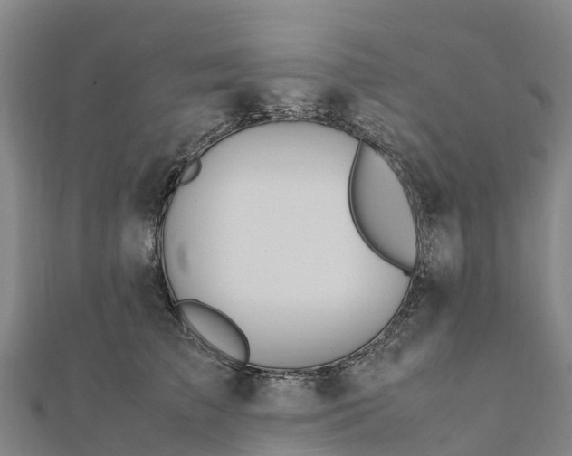 X0000112090709200908181304