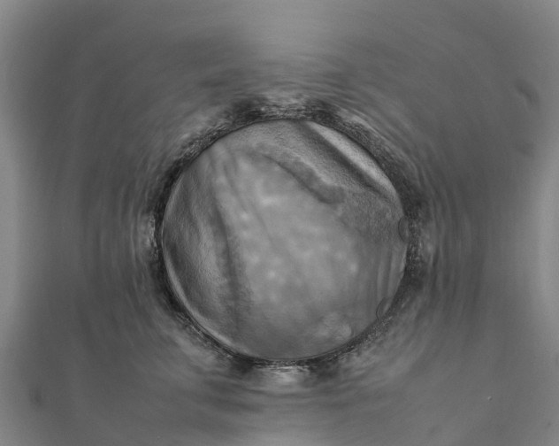 X0000112090711200908181304