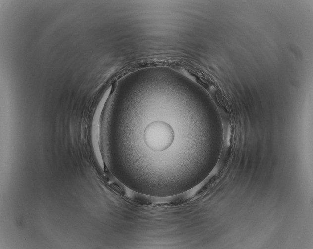 X0000112090712200908181304