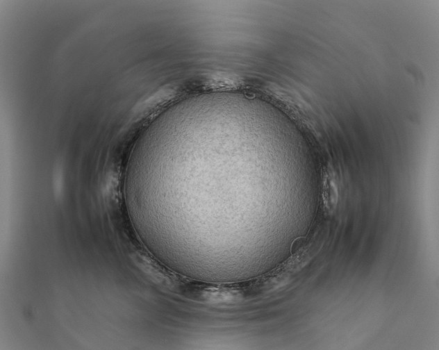 X0000112090714200908181304