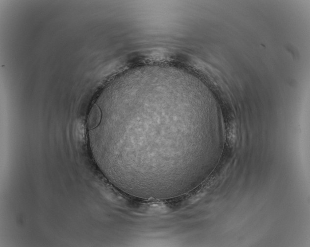 X0000112090715200908181304