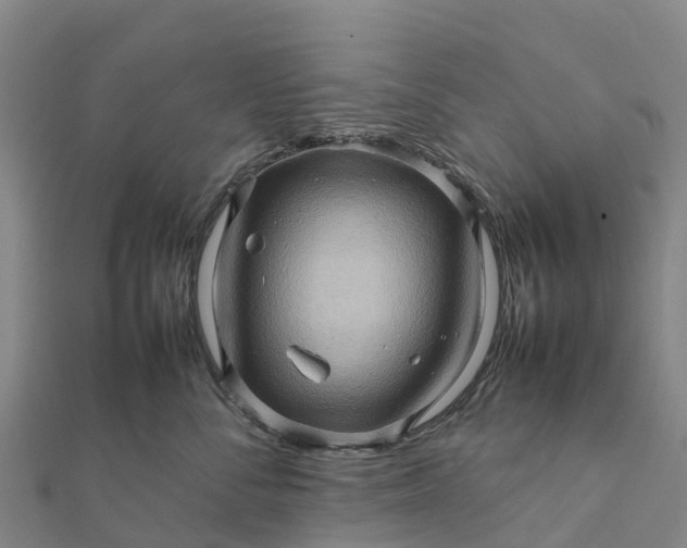 X0000112090716200908181304