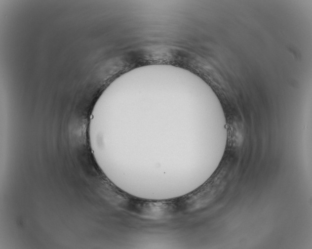 X0000112090717200908181304