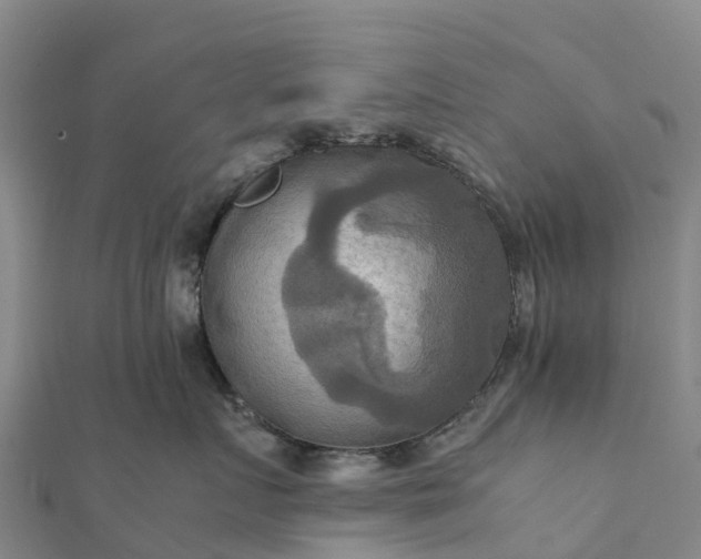 X0000112090719200908181304