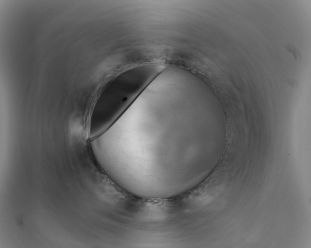 X0000112090720200908181304