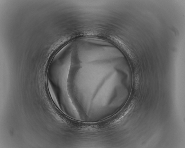 X0000112090721200908181303