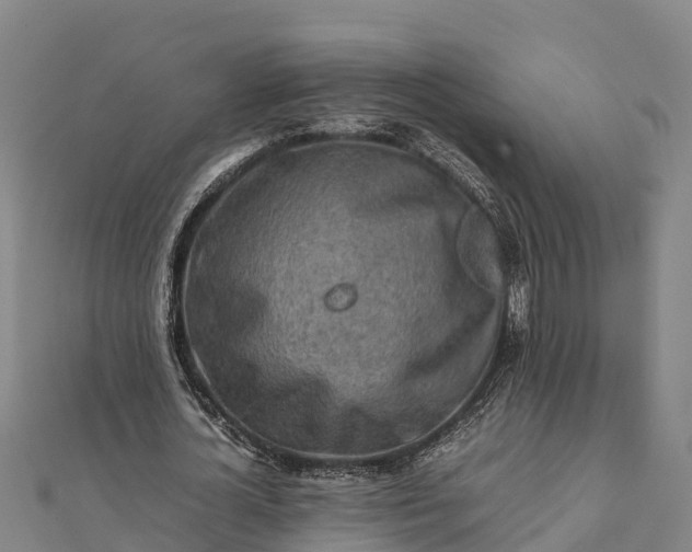 X0000112090724200908181303