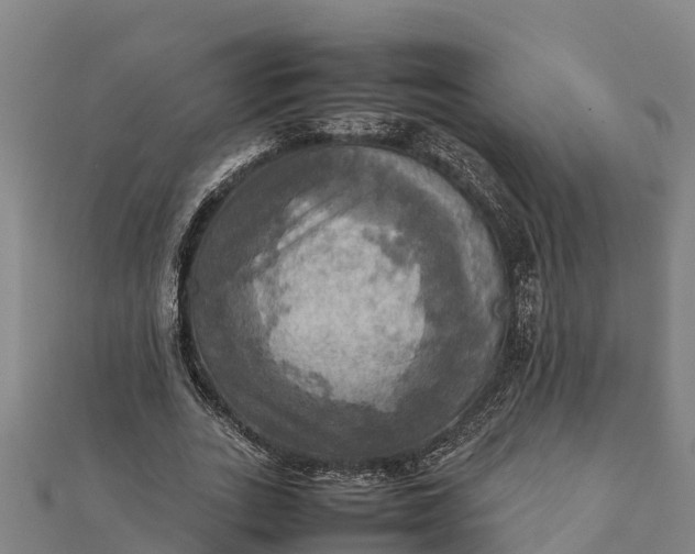 X0000112090727200908181303