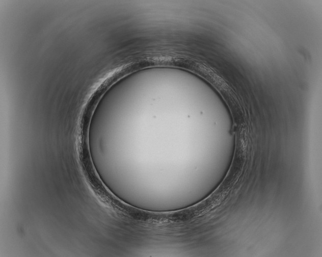 X0000112090728200908181303